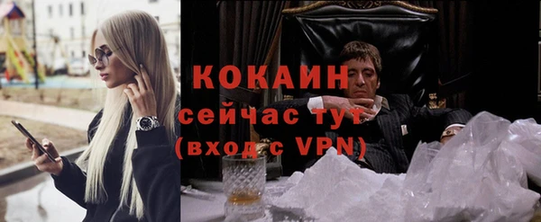 сатива Лабытнанги