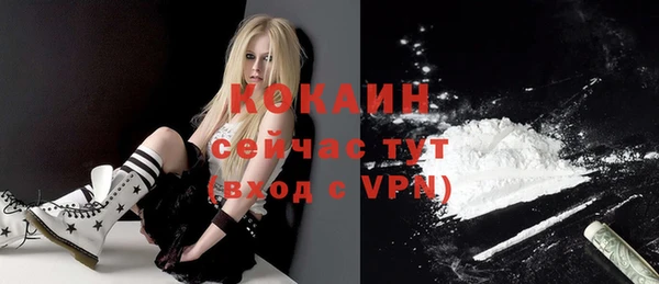 сатива Лабытнанги