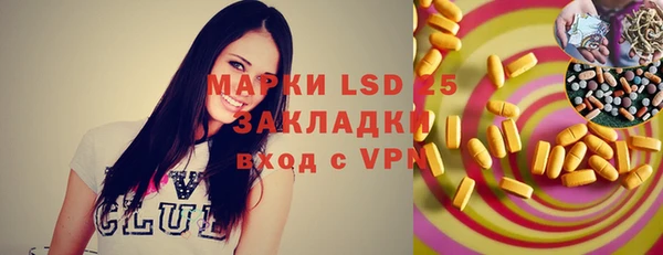 сатива Лабытнанги