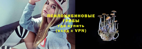 сатива Лабытнанги