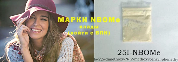 сатива Лабытнанги