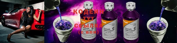 сатива Лабытнанги
