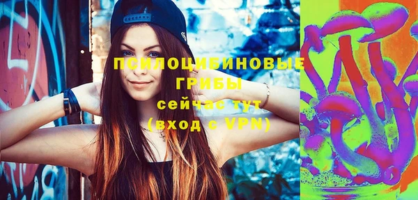 сатива Лабытнанги