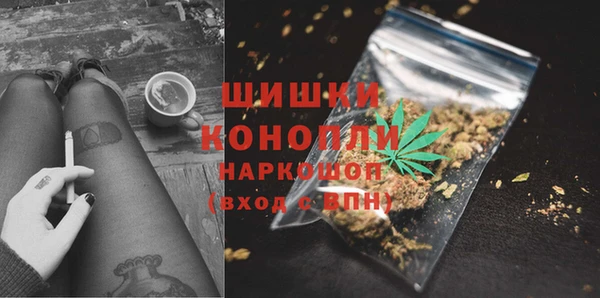 сатива Лабытнанги