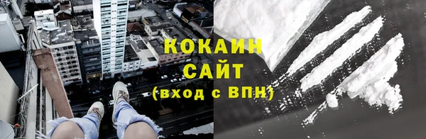 винт Пионерский