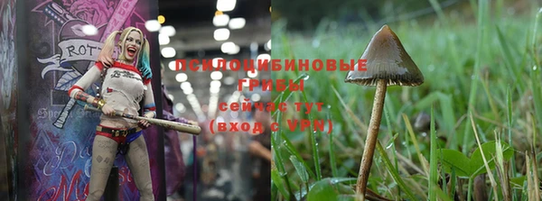 экстази Куйбышев