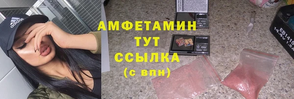 амф Ладушкин