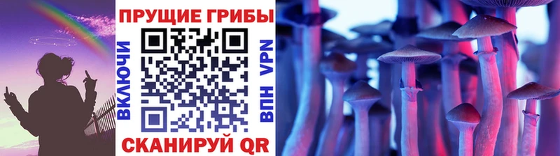 Псилоцибиновые грибы Psilocybine cubensis  Сысерть 